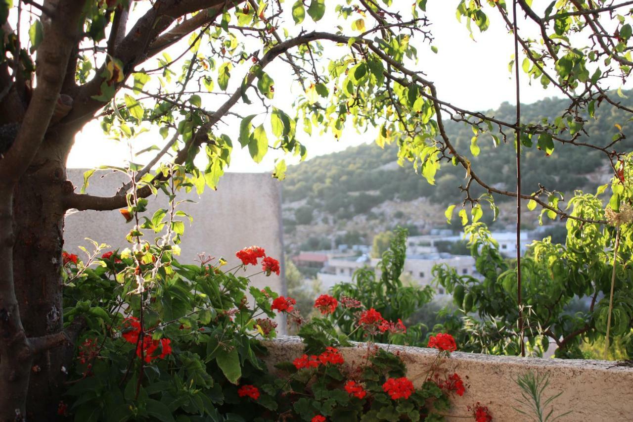 Mhna Guest House Ajloun Exterior photo